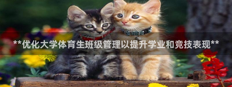 必一体育官方下载入口