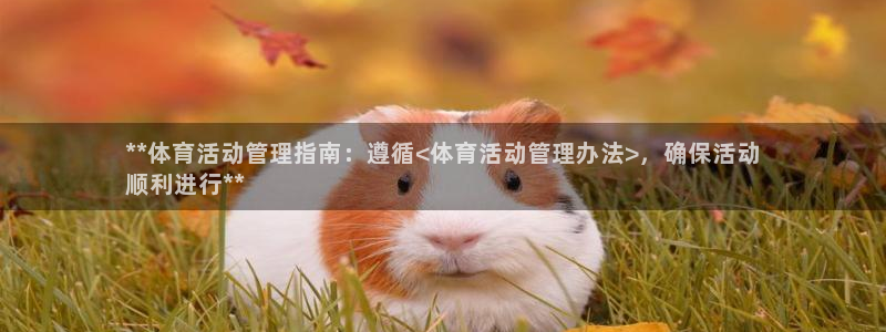 必一体育app官方下载入口