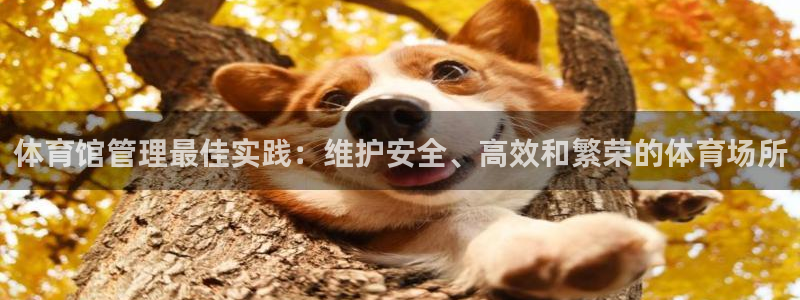 必一体育下载app：