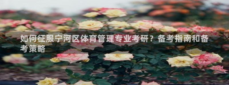 b体育必一运动网页版