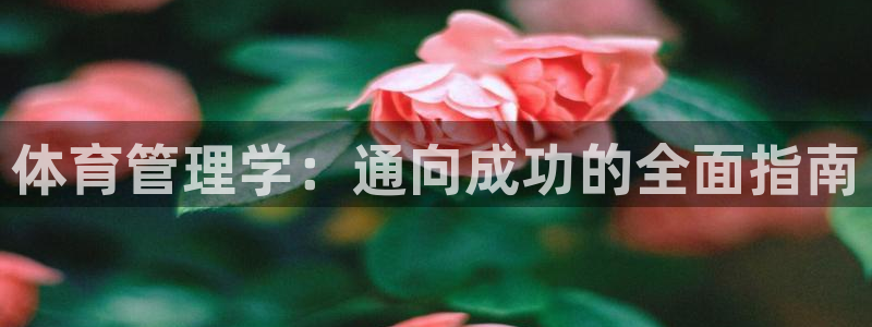 必一体育官方入口：体