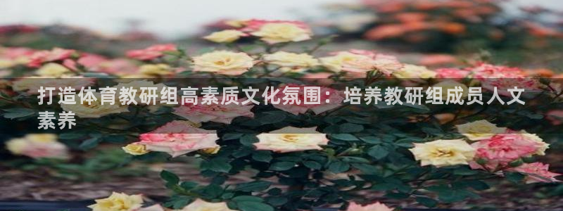 必一体育运动app下