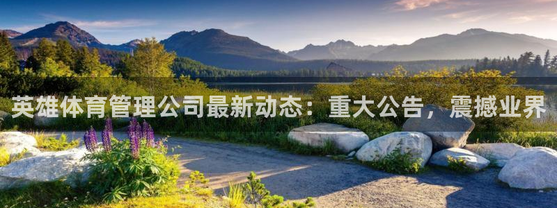 必一体育在线入口：英