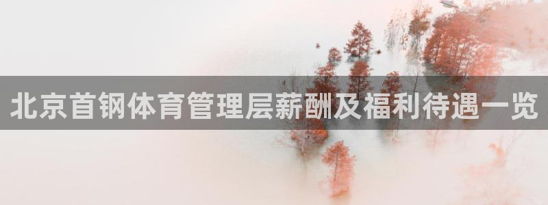 b体育必一运动网页版