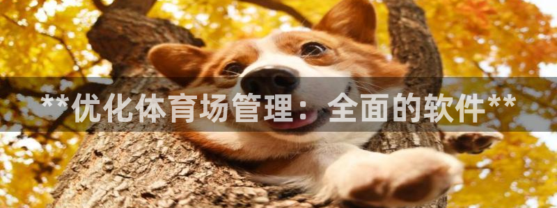 必一运动aop：**