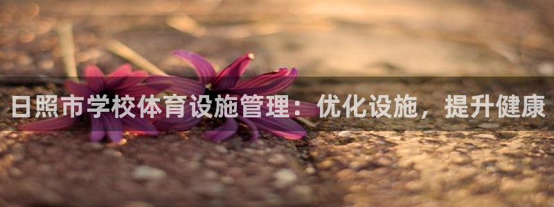 必一体育没了：日照市