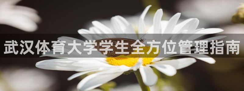 必一体育网站：武汉体