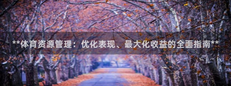 必一体育网页登录版官