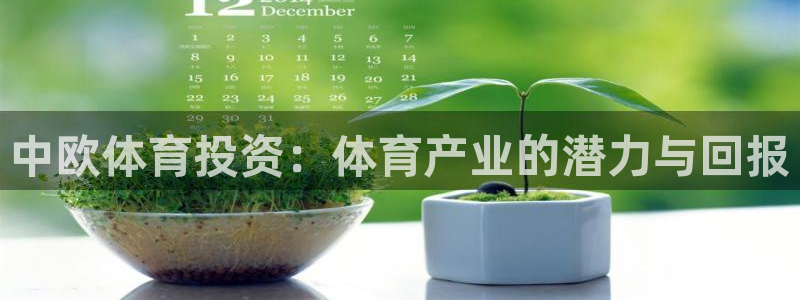 必一体育登录APP下