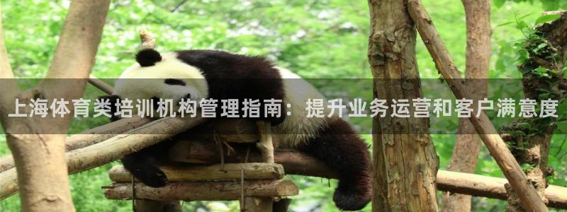 b体育必一下载：上海