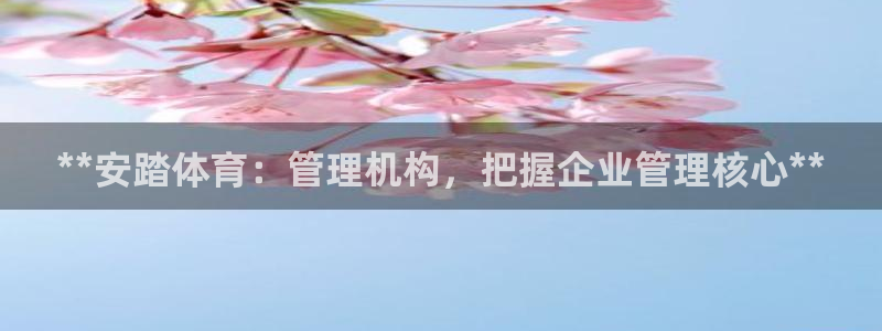 必一体育网址：**安