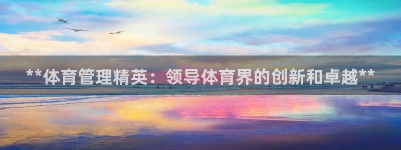 必一体育在线官网：*