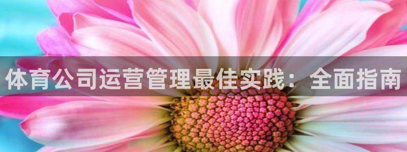 必一运动bsport体育app下载