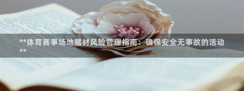 必一体育官方下载：*