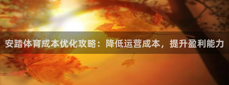 必一运动体：安踏体育
