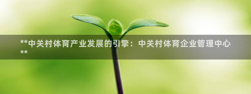 必一体育最新官网入口
