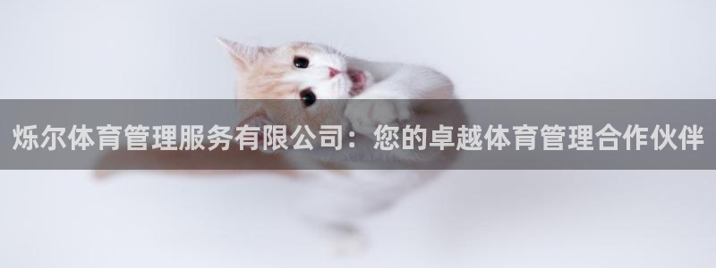 必一体育流水线是什么