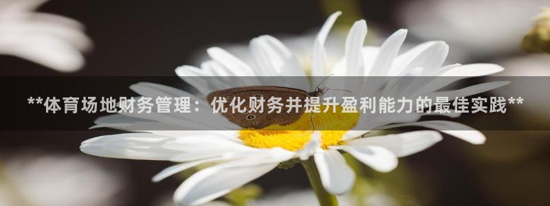 必一体育官网入口：*