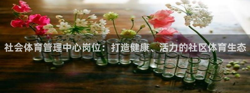 必一体育sportB