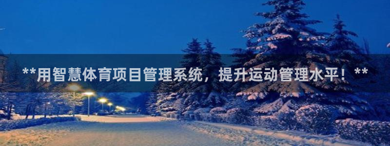 必一体育bsport