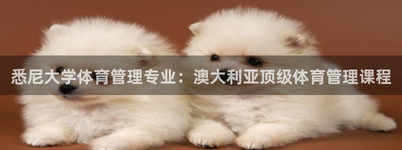 必一体育登录：悉尼大