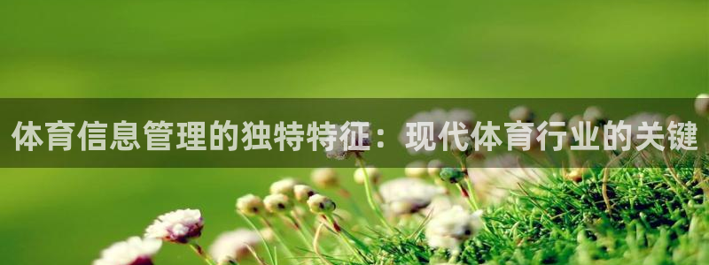 必一体育官网ios下