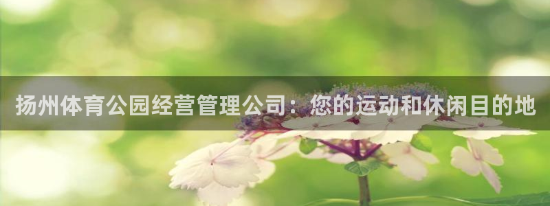 必一体育手机下载：扬