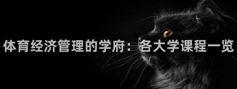 必一体育电子app：