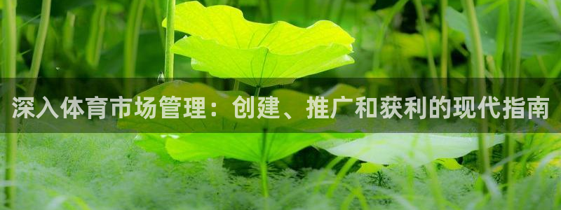 必一体育下载义：深入