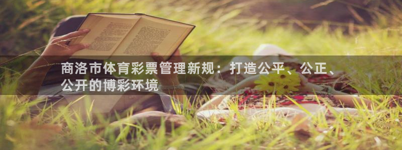 必一体育运动官网：商