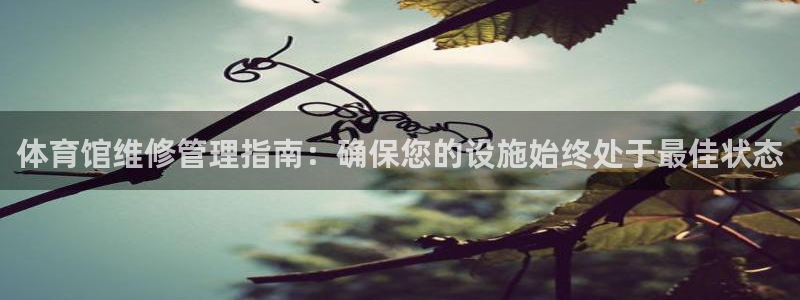 必一体育合法吗：体育