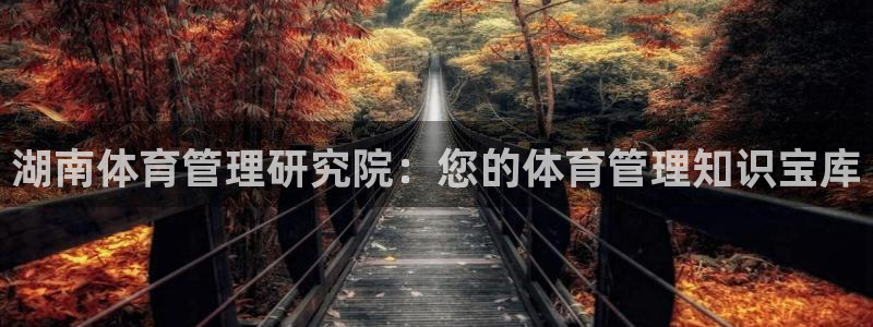 必一体育黑钱：湖南体