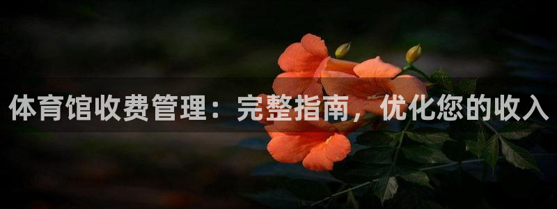必一运动·(B-Sp