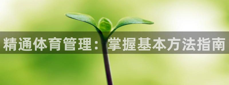 必十二和必一的副作用
