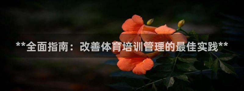 必一体育最新官网入口