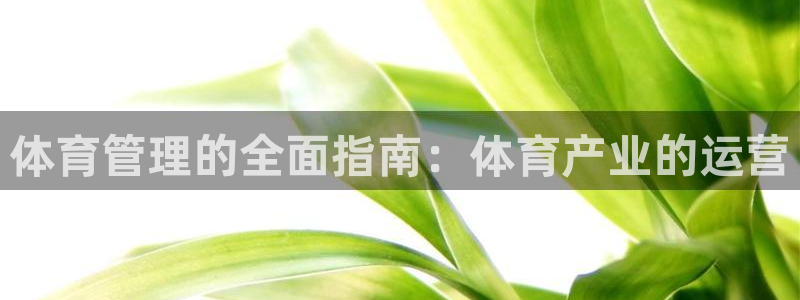 必一体育游戏玩法：体