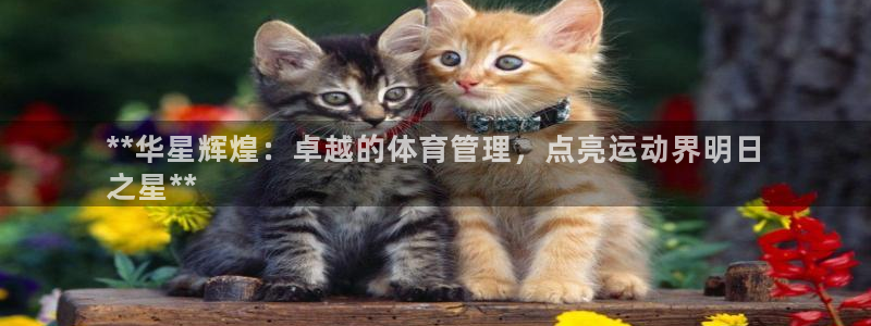 必一体育运动下载：*