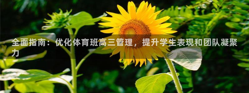 必一体育官方下载：全