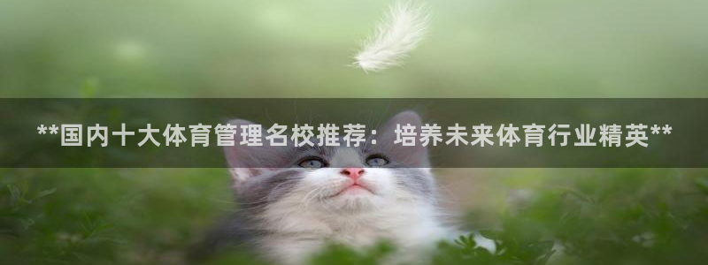 必一体育app下载：