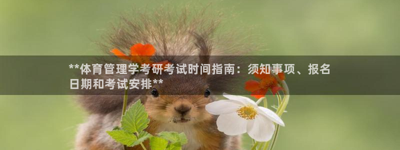 必一体育sportB