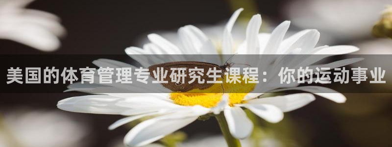 必一体育sport官