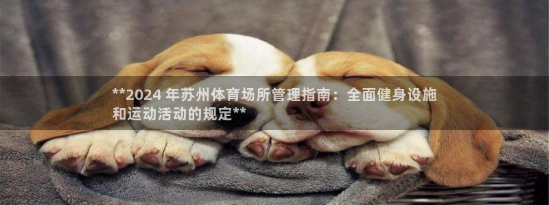 必一体育sport装