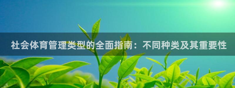 必一体育bsport