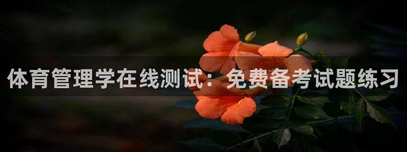必一运动听的歌：体育