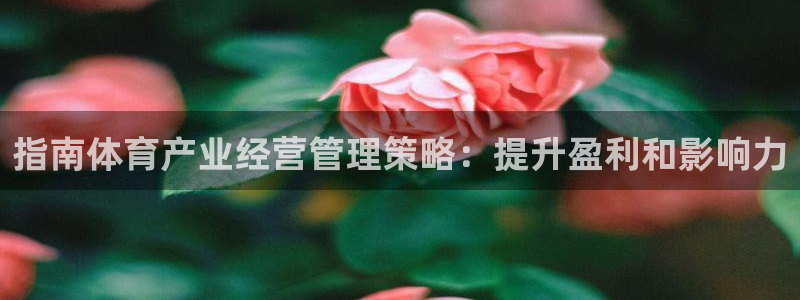 必一体育网页登录版官