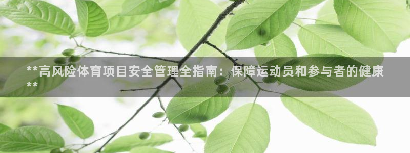 必一体育最新官网入口