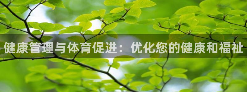 b体育必一运动网页版