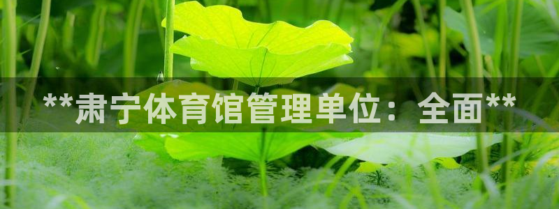 必一体育流水线是什么