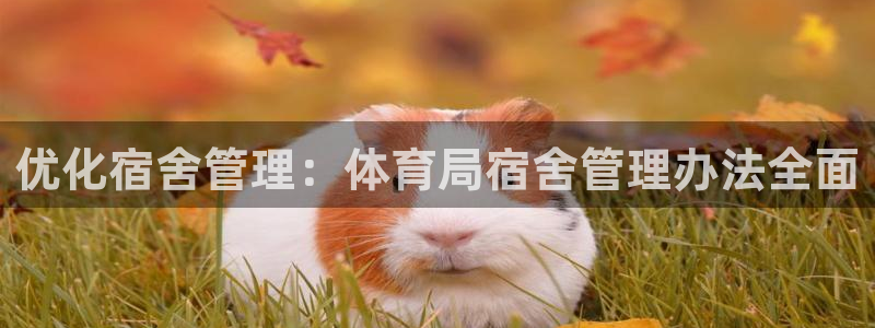 必一体育官方app下