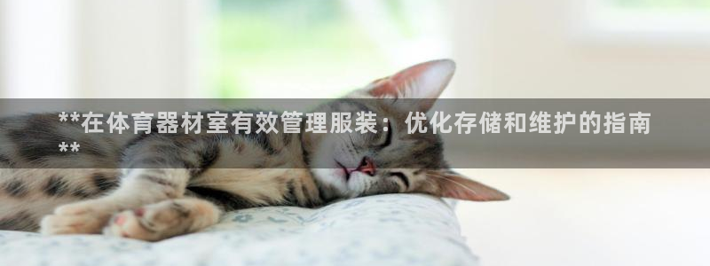 必一体育平台：**在